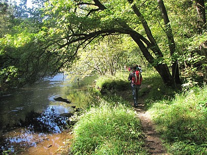 Day Hike Houffalize - Secret valleys and wild paths