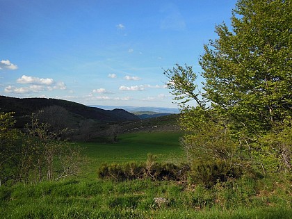Causse Bégon