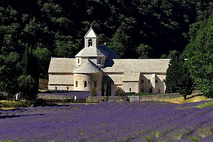 Gordes - Fontaine de Vaucluse (facile)