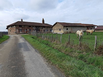 MTB-VTC circuit n°22 (blue) La Petite Sarrasine