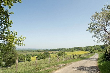 N°81 Les Coteaux de Joos