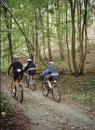 Voie verte de Auneuil à Rainvillers