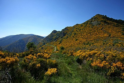 Circuit tour du Mont Aigu à La Souche