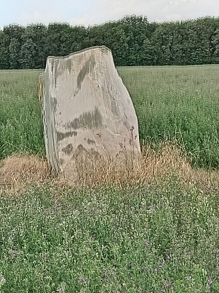 Base VTT-Milly-N°2- Les pierres levées