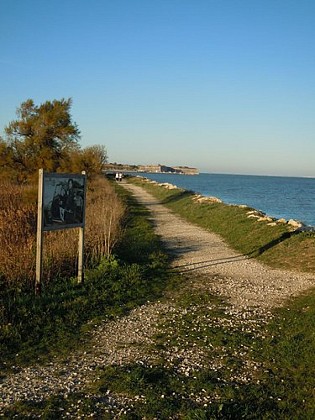 Le sentier du littoral au Château d'Oléron