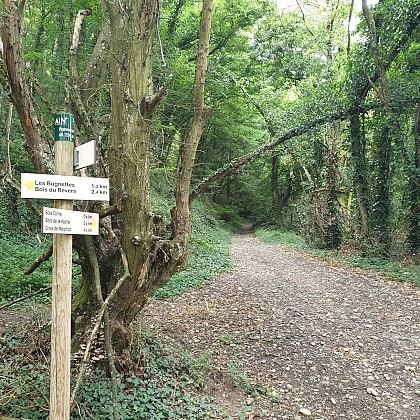 Circuit pédestre "Les bois de Béligneux"