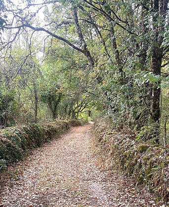 Boucle de la Verrerie