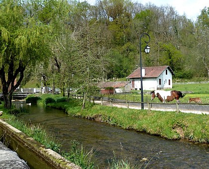 Balade à Roulettes n°40 : Le Virgou à Arette