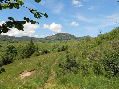 La Porte du Lion à Thiézac