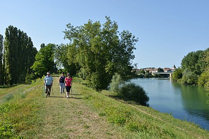 Panouille dans la panade