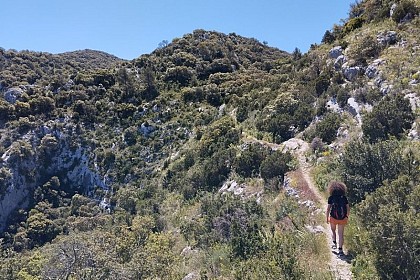 MAUBEC - La draille des frères Nouguier