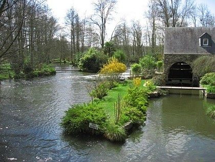 BaseVTT-Milly-N°4-Richesse du Gâtinais