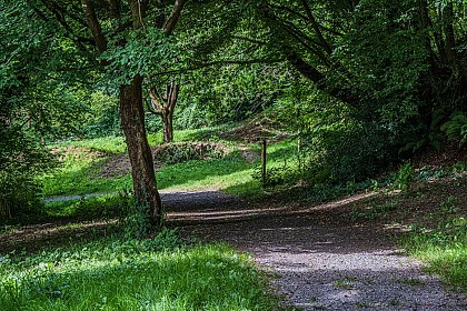 Trail > La vallée du Bulsard