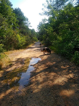 Mais où est passé le Pont du train ?