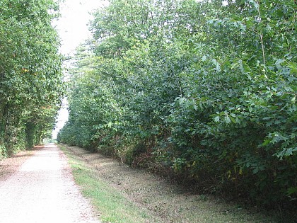 Circuit entre plaines et forêts