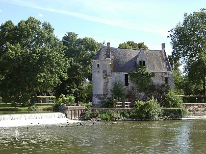 LUCHÉ-PRINGÉ / Chemin des bords du Loir