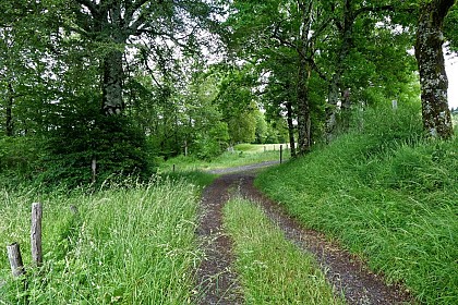 Le Tour de Fontanille à St Etienne de Carlat