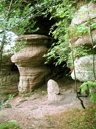 ALSACE CENTRALE : L'Altenberg