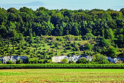 Circuit du Bois Là-derrière