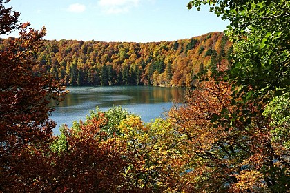 Le tour du lac Pavin