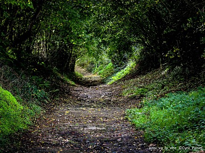 L’Échappée Verte de Marigny