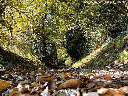 Sur les traces du Lozon