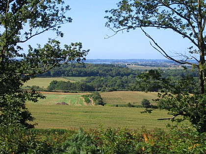Circuit de Bizole, Treffléan