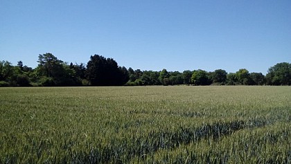 Le Tertre Noir, le Tertre Blanc et le Rocher du Duc