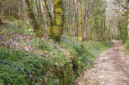 Circuit du Camp de César, Saint Avé