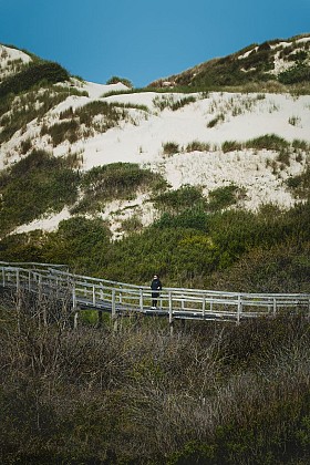 Sentier découverte de la dune parabolique