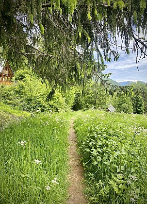 Les balcons du lac - Marche nordique n°1
