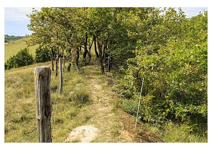 Sentier de l'Ail