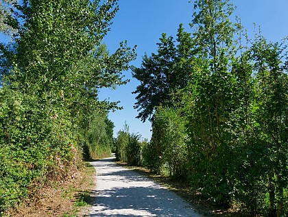 Sentier de la Libellule