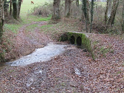 Etagnac (3rd circuit)