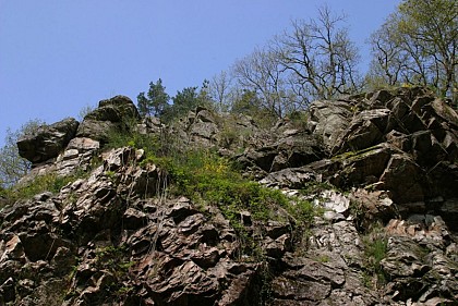 Circuit Pédestre N°48 : "A travers la Perrière"