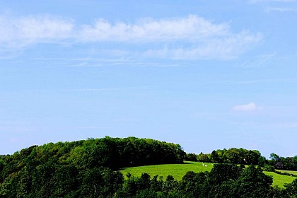 La Fontaine aux Faux