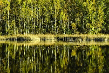 The blessed fountain