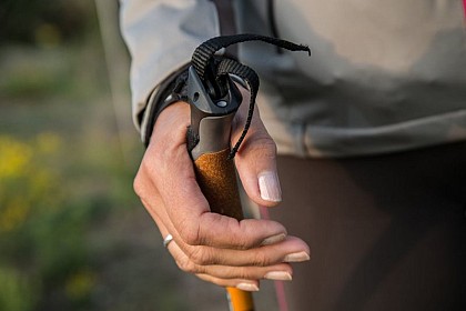 Guînes Forest - Red trail