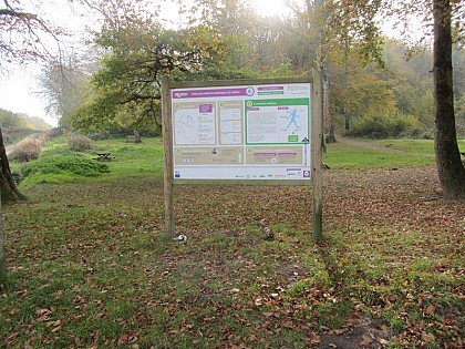 Guînes Forest - Green trail