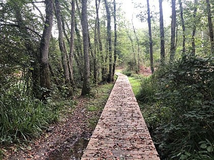 Quesnoye - Blue route