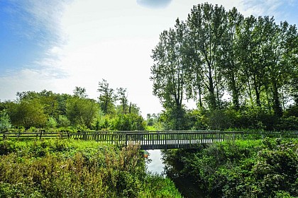 Le Petit Marais