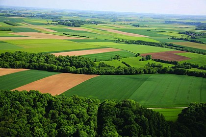 The Four Woods