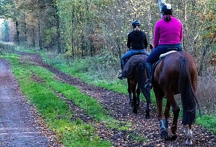 Route européenne D'Artagnan