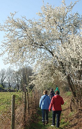 Circuit de Kerbiler, Elven