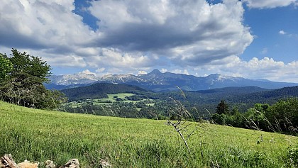 La Gros Martel -Circuit VTT n°30 - Noir