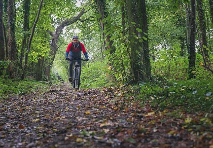 Les Caprices du Noireau