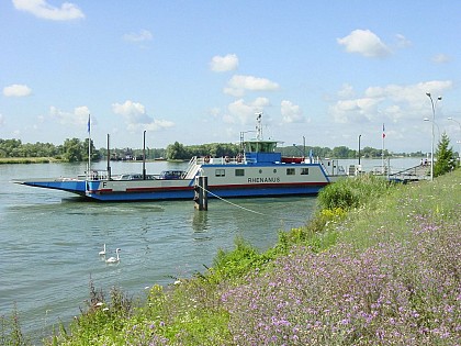 ALSACE CENTRALE : Autour du Schollerhin (67)