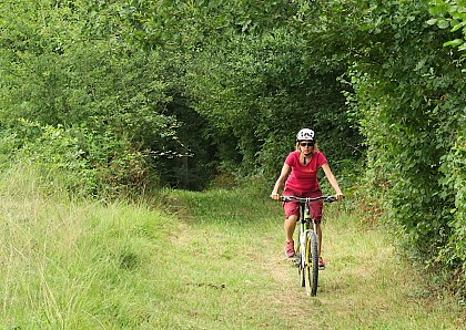 VTT N°77 - Entre Gaves et Joos