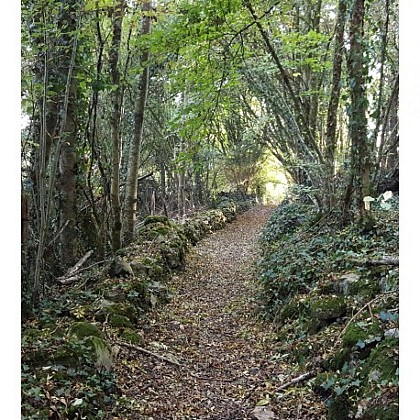 Base VTT du Lambon / Itinéraire vtt n°4 - L'Hermitain