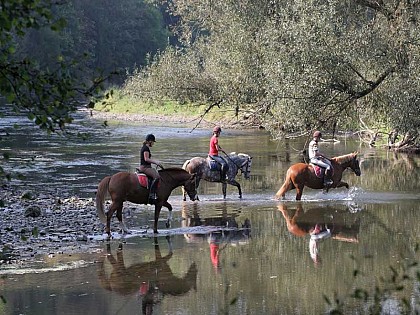 La Chevauchée de Guillaume